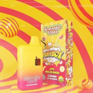 NOSTALGIC VIBES MTV MELON MASH DISPOSABLE 