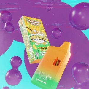 NOSTALGIC VIBES 90`S FRUIT PUNCH DISPOSABLE 